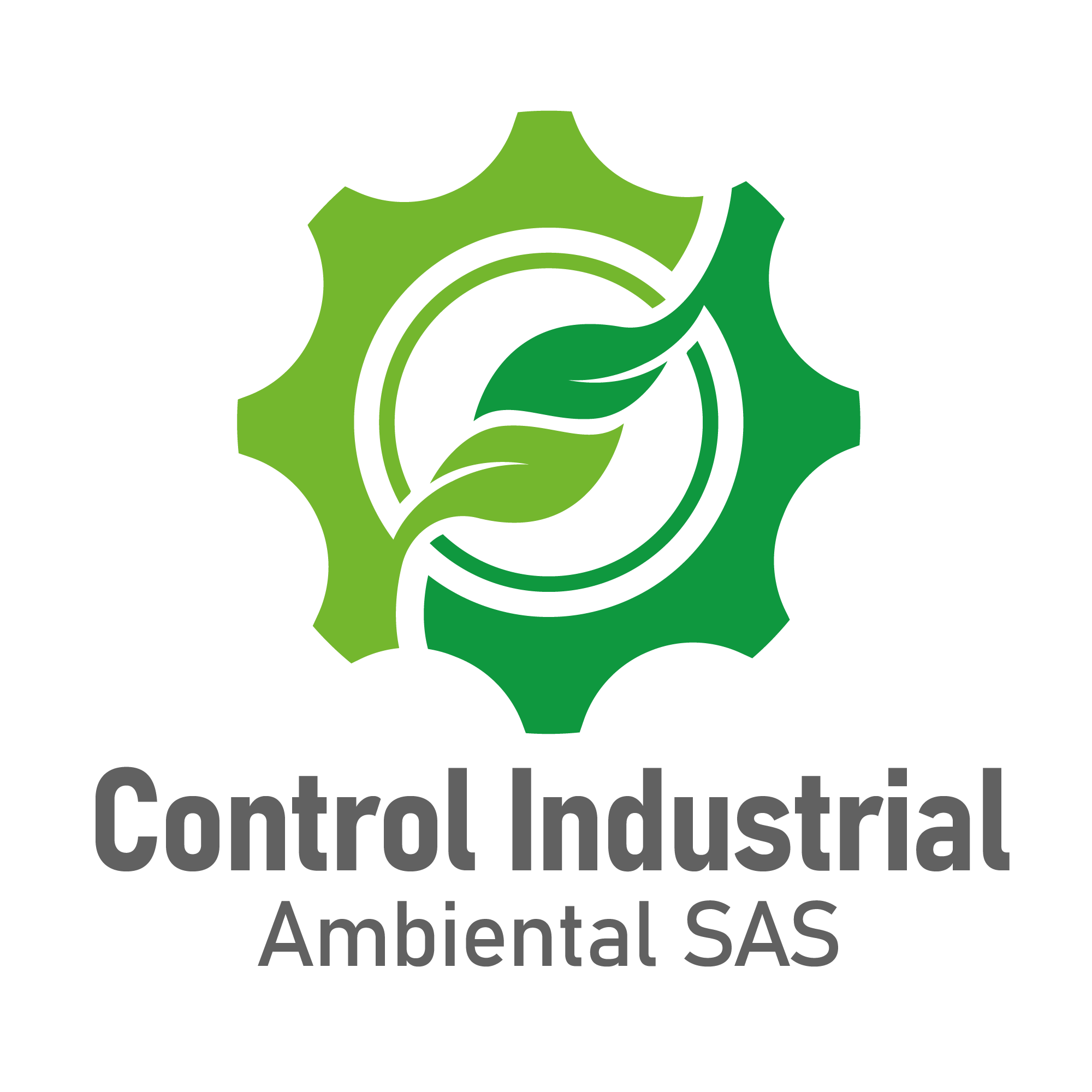 Control Industrial Ambiental SAS